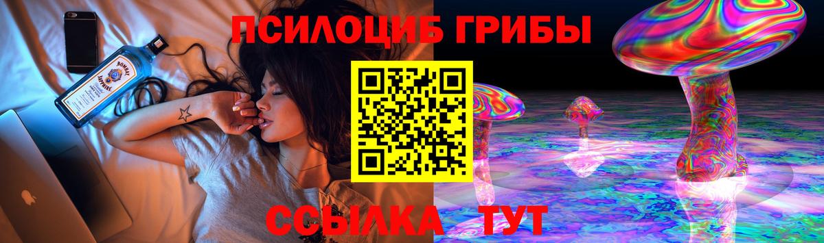купить наркотик  Вход с VPN  Псилоцибиновые грибы Cubensis  Железногорск  Псилоцибиновые грибы прущие грибы 